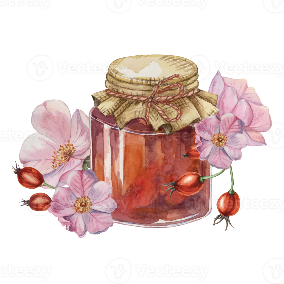 Rose hip jam in glass jar with canvas burlap fabric lid, bow and rose flowers. Rosehip berry breakfast jelly watercolor illustration for printing, food packaging, labels, cards, stickers, scrapbooking png