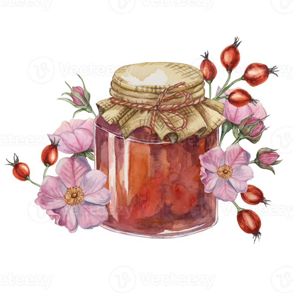 Rose hip jam in glass jar with canvas burlap fabric lid and twine rope bow. German fruit preserve jelly watercolor illustration for printing, food packaging, labels, cards, stickers, scrapbooking png