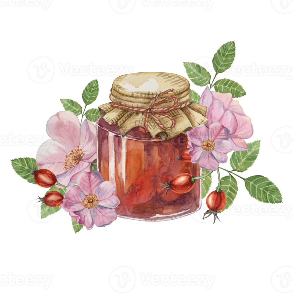 Rose hip jam in glass jar with canvas lid and rope bow. Swiss forest berry preserve with pink flowers and leaves watercolor illustration for printing, food packaging, label, card sticker, scrapbooking png