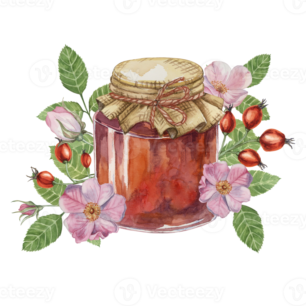 Rose hip jam in glass jar with canvas burlap fabric lid and twine rope bow. Rosa canina flowers, leaves, fruits isolated watercolor illustration for printing, labels, cards, stickers, scrapbooking png