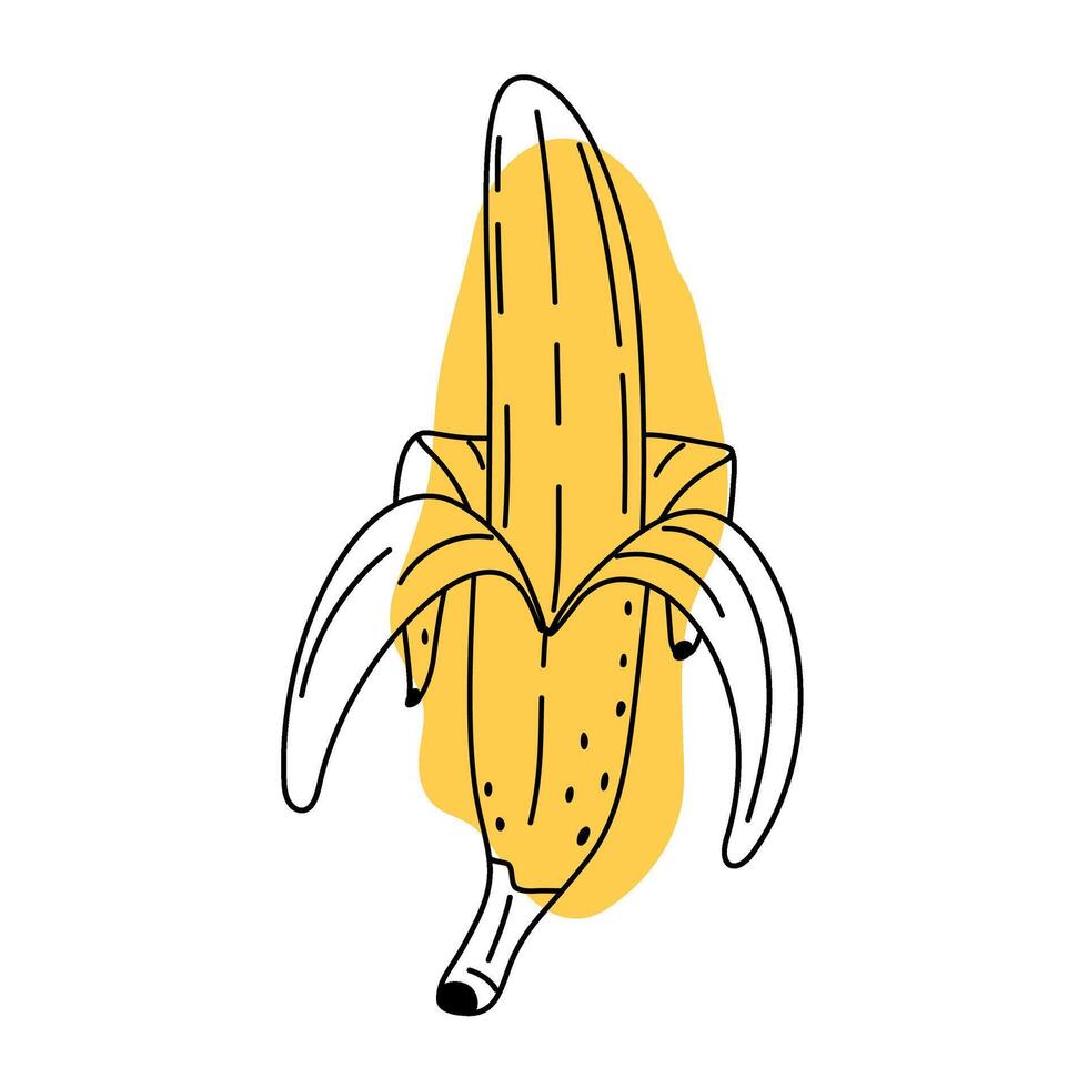 Hand drawn peeled banana abstract icon. Delicious tropical fruit, vegetarian nutrition. Doodle line art ripe banana in sketch style. Minimalistic and modern stylized illustration. vector