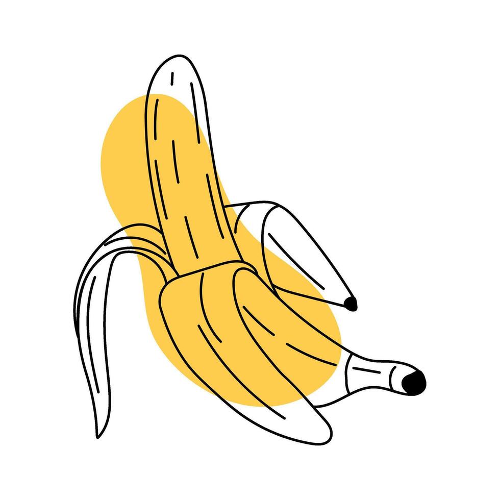 Hand drawn peeled banana abstract icon. Delicious tropical fruit, vegetarian nutrition. Doodle line art ripe banana in sketch style. Minimalistic and modern stylized illustration. vector