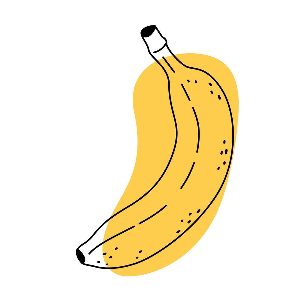 Doodle banana abstract icon. Delicious tropical fruit, vegetarian nutrition. Hand drawn line art ripe banana in sketch style. Minimalistic and modern stylized illustration. vector