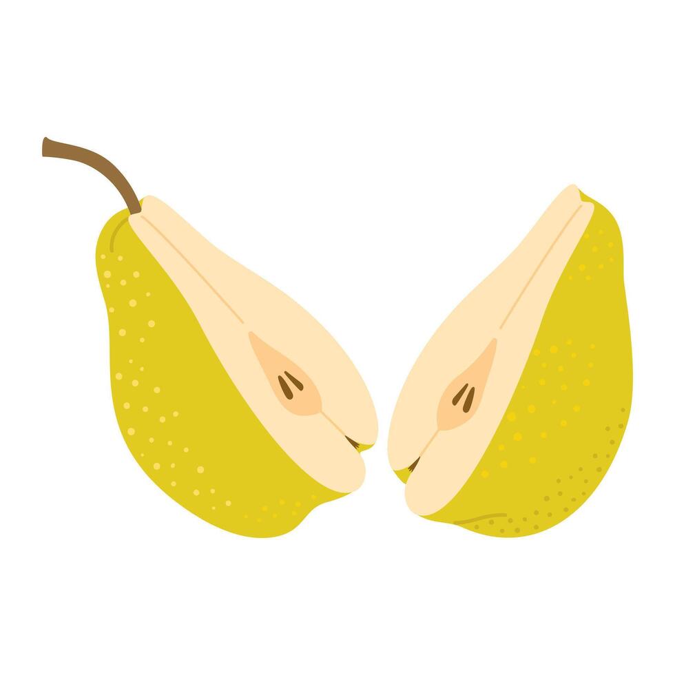 Green Pear cut in half. Two piece of ripe fruit with seeds. Pear half icon. Isolated on white. Hand drawn Trendy flat style. Healthy vegetarian snack, cut Pear for design illustration vector