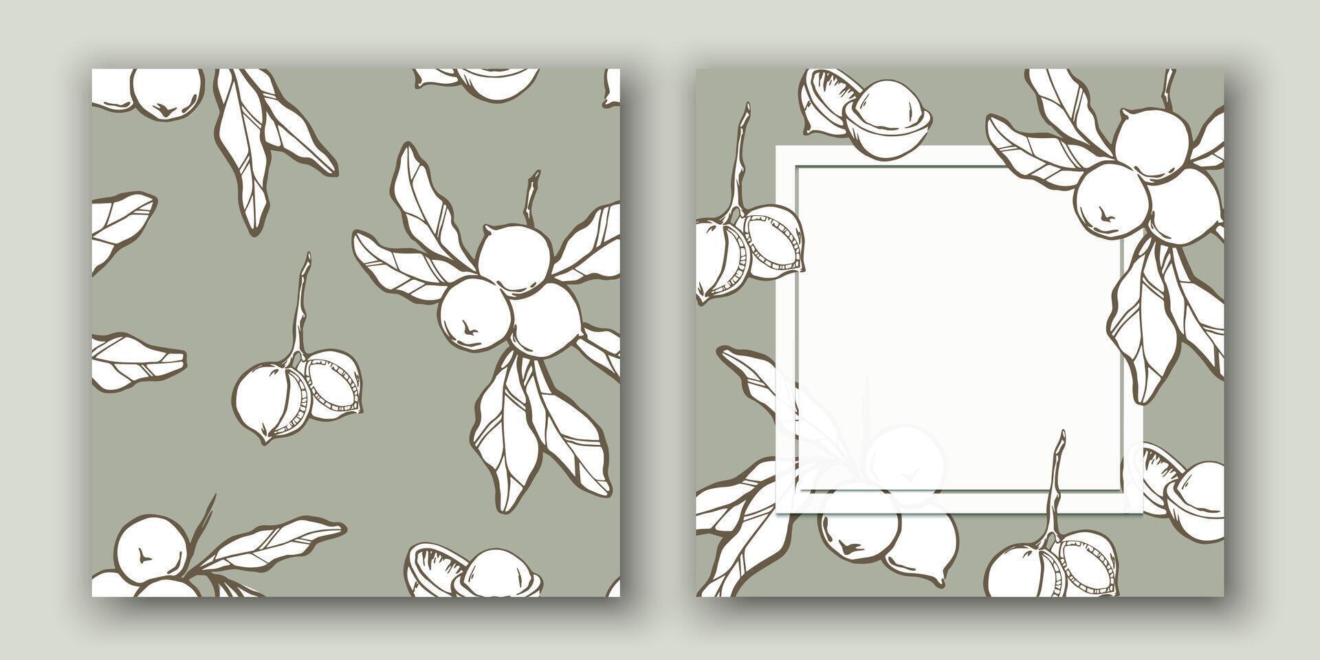 Macadamia nuts background design with hand drawn doodle elements and frame with copy space vector