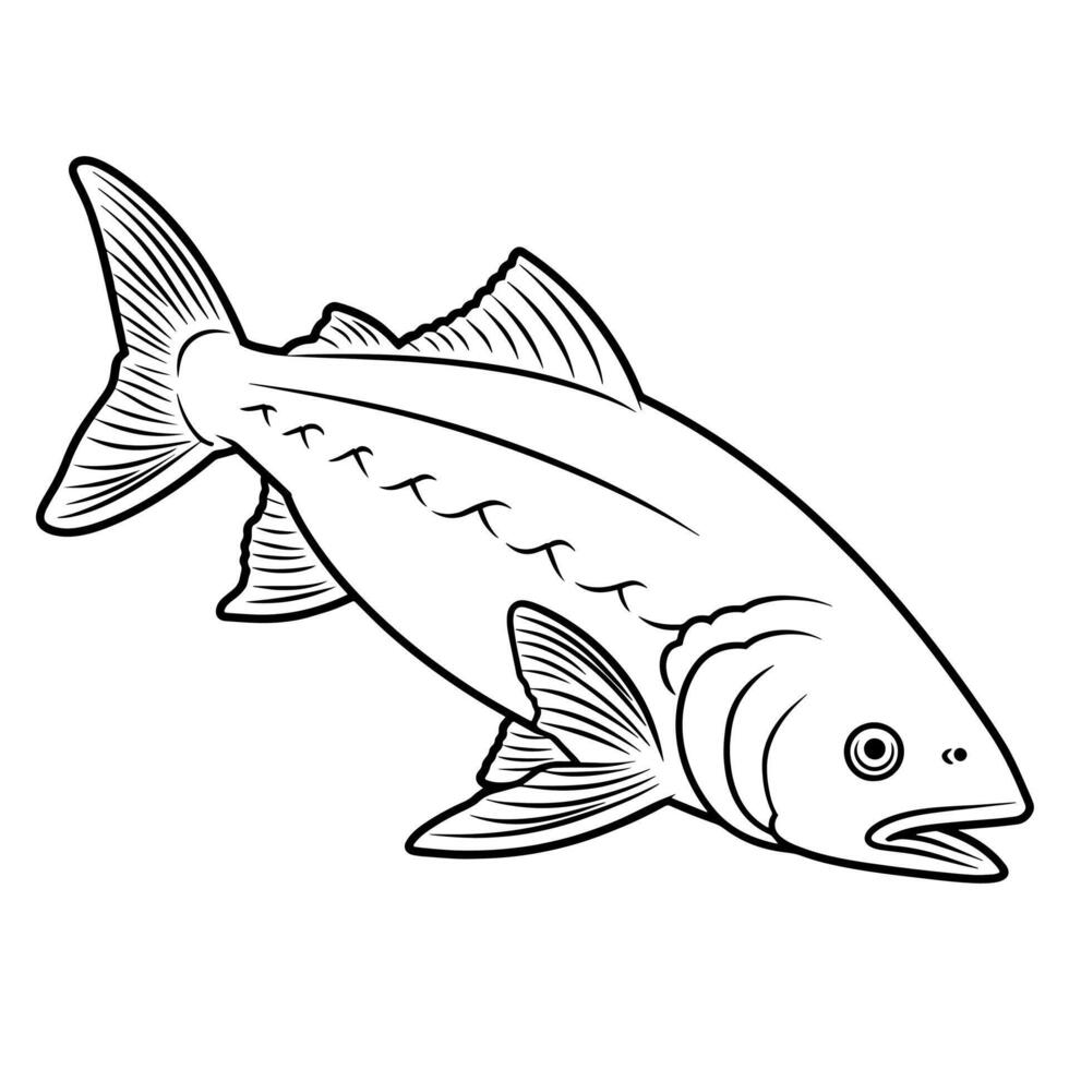 Streamlined salmon outline, ideal for seafood-themed designs. vector