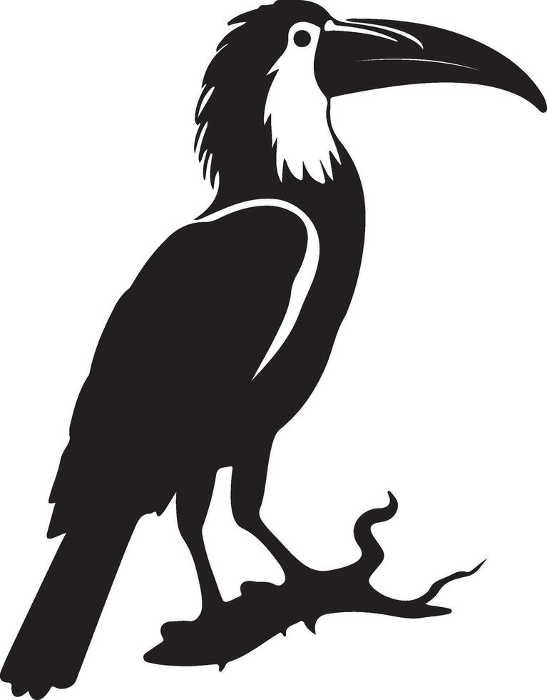 Hornbill Silhouette Illustration White Background vector