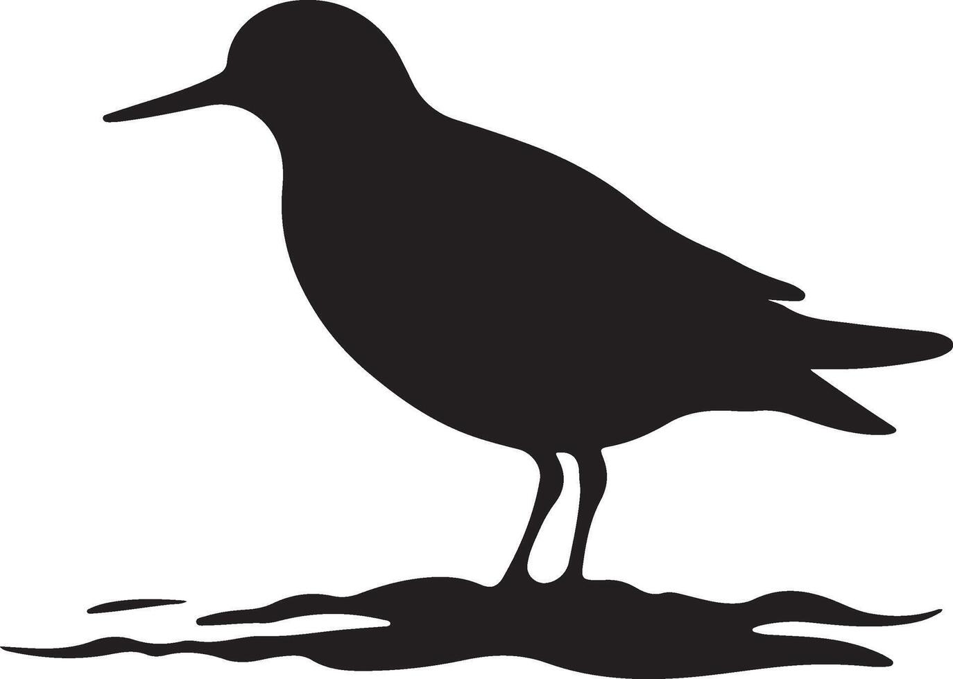 Sandpiper Silhouette Illustration White Background vector