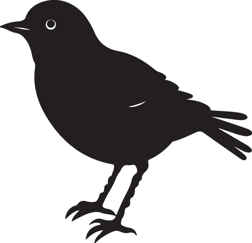 Cuckoo Silhouette Illustration White Background vector