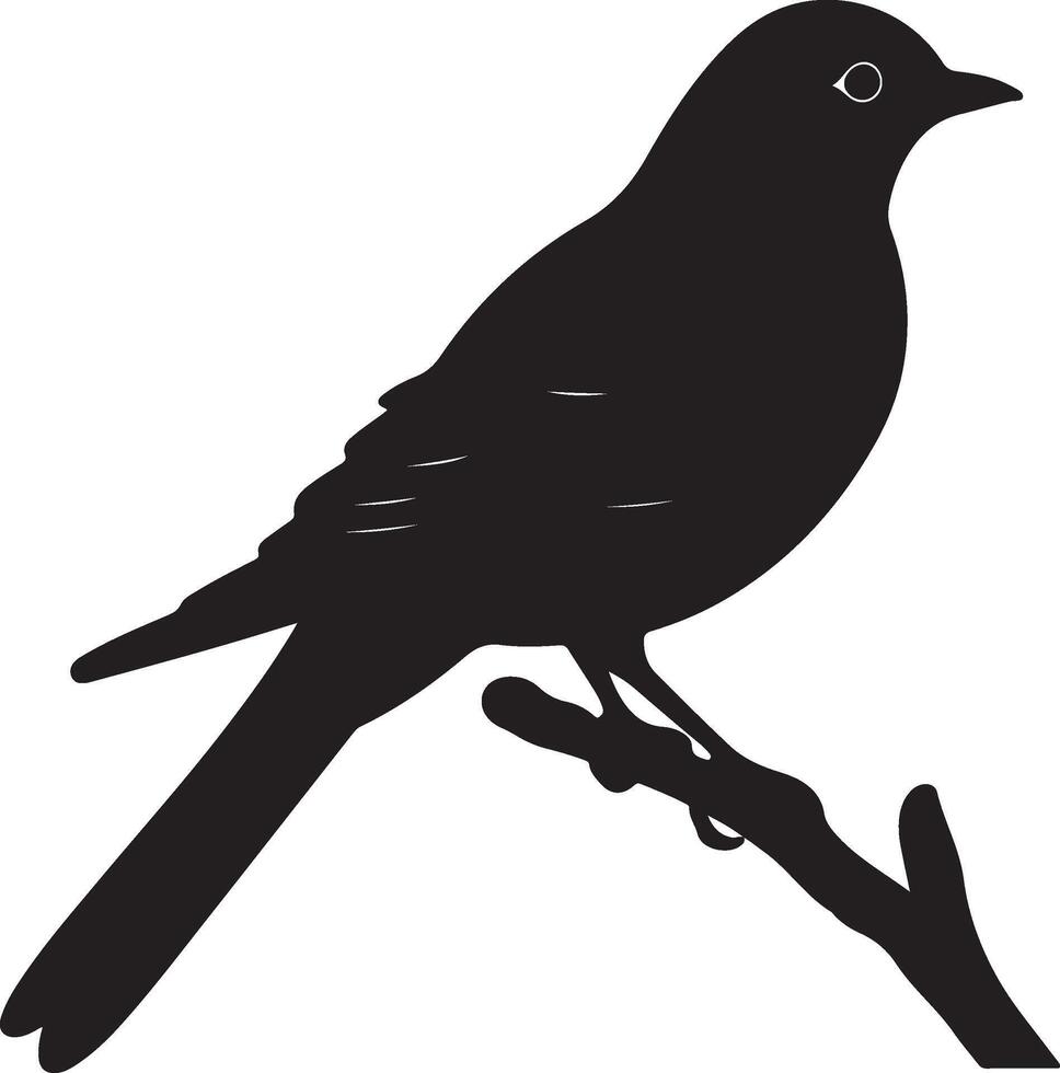 Cuckoo Silhouette Illustration White Background vector