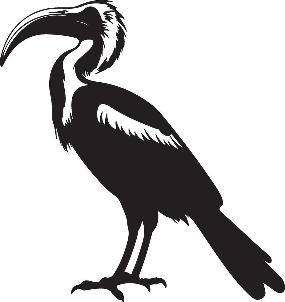 Hornbill Silhouette Illustration White Background vector