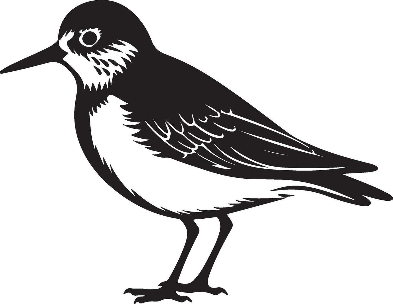 Sandpiper Silhouette Illustration White Background vector