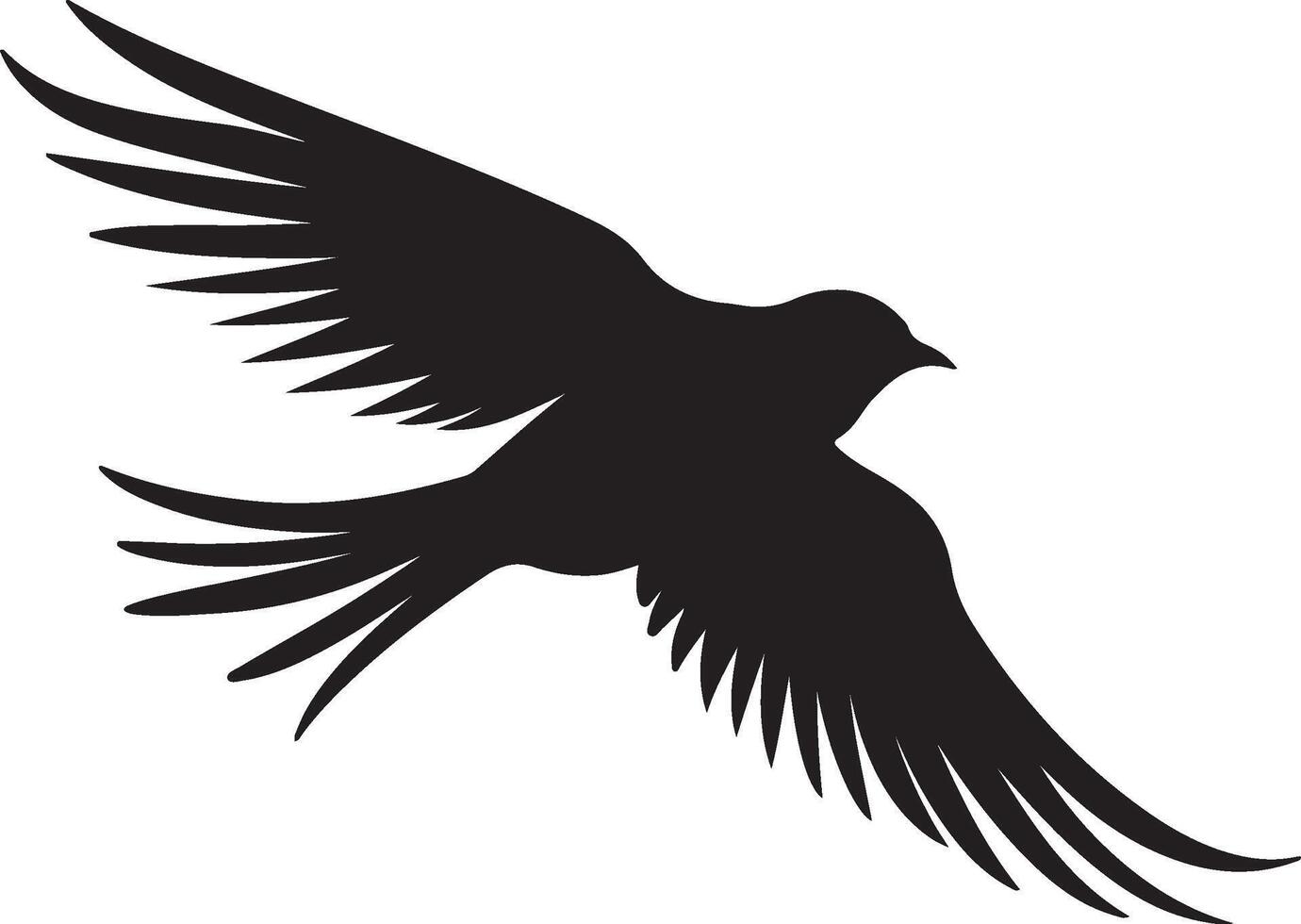 Swift Bird Silhouette Illustration White Background vector