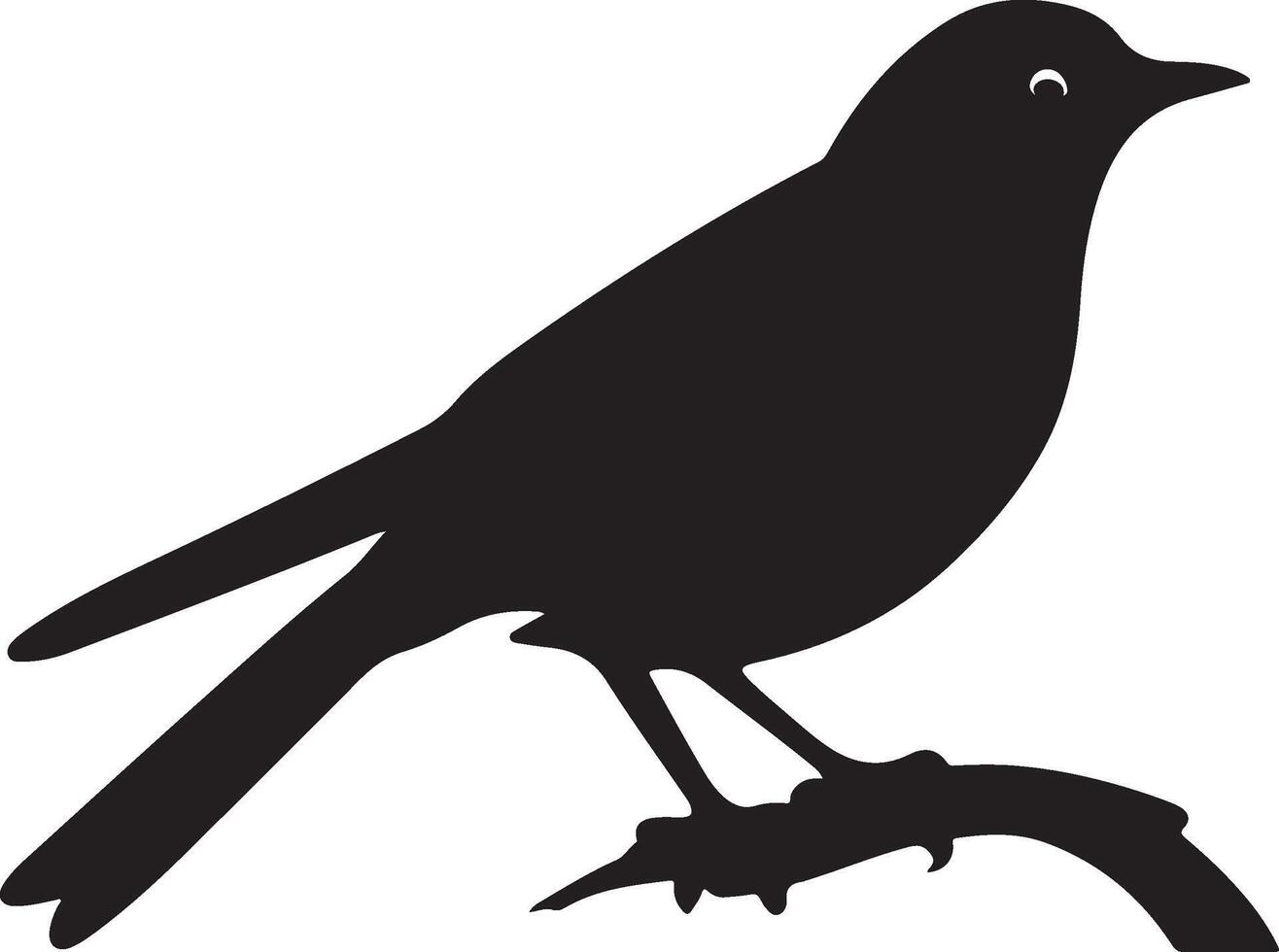 Cuckoo Silhouette Illustration White Background vector