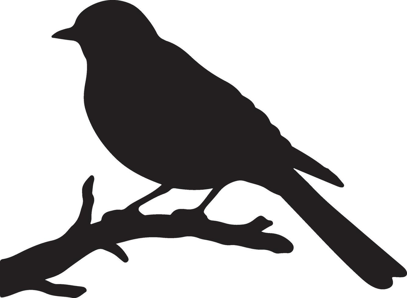 Cuckoo Silhouette Illustration White Background vector
