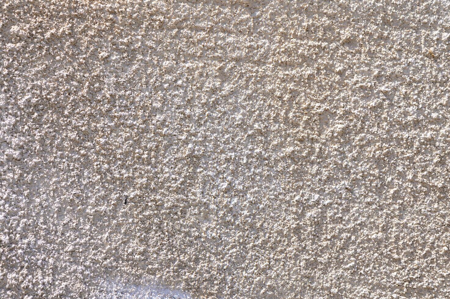 Background of the plaster in the form of fur coat photo