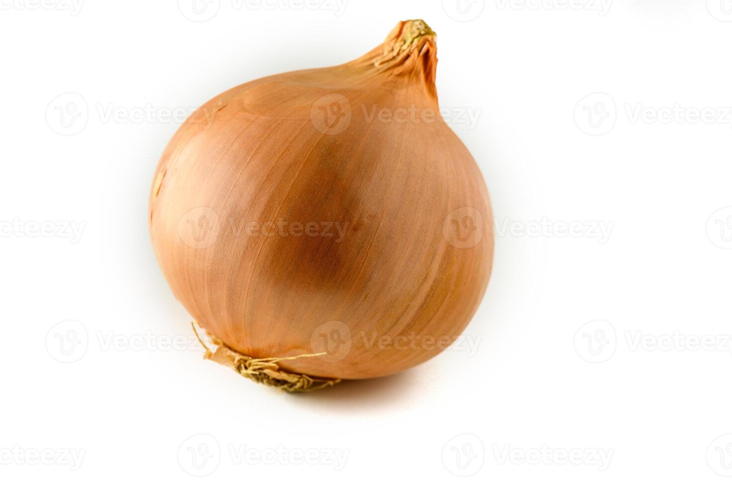 Onions isolated on white background 1 photo