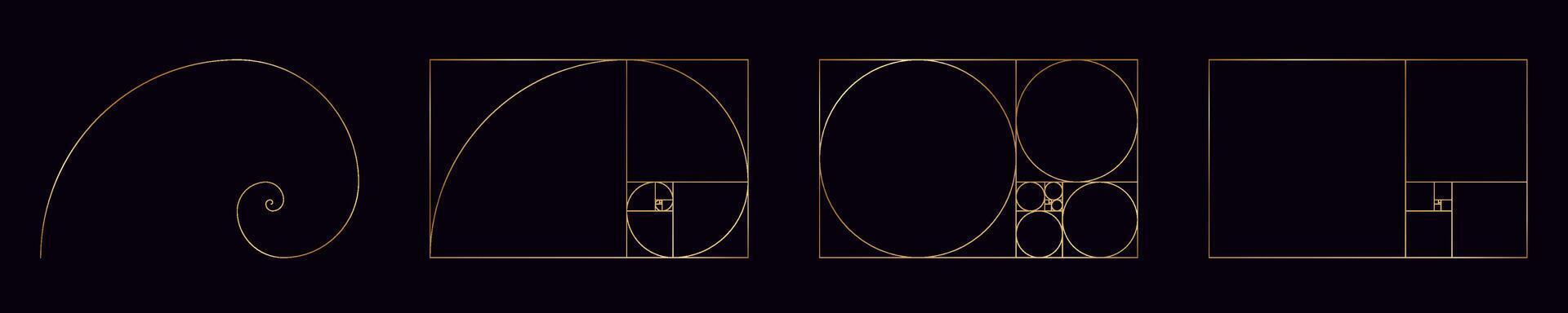 golden ratio isolated spiral. Golden section with in gold vector