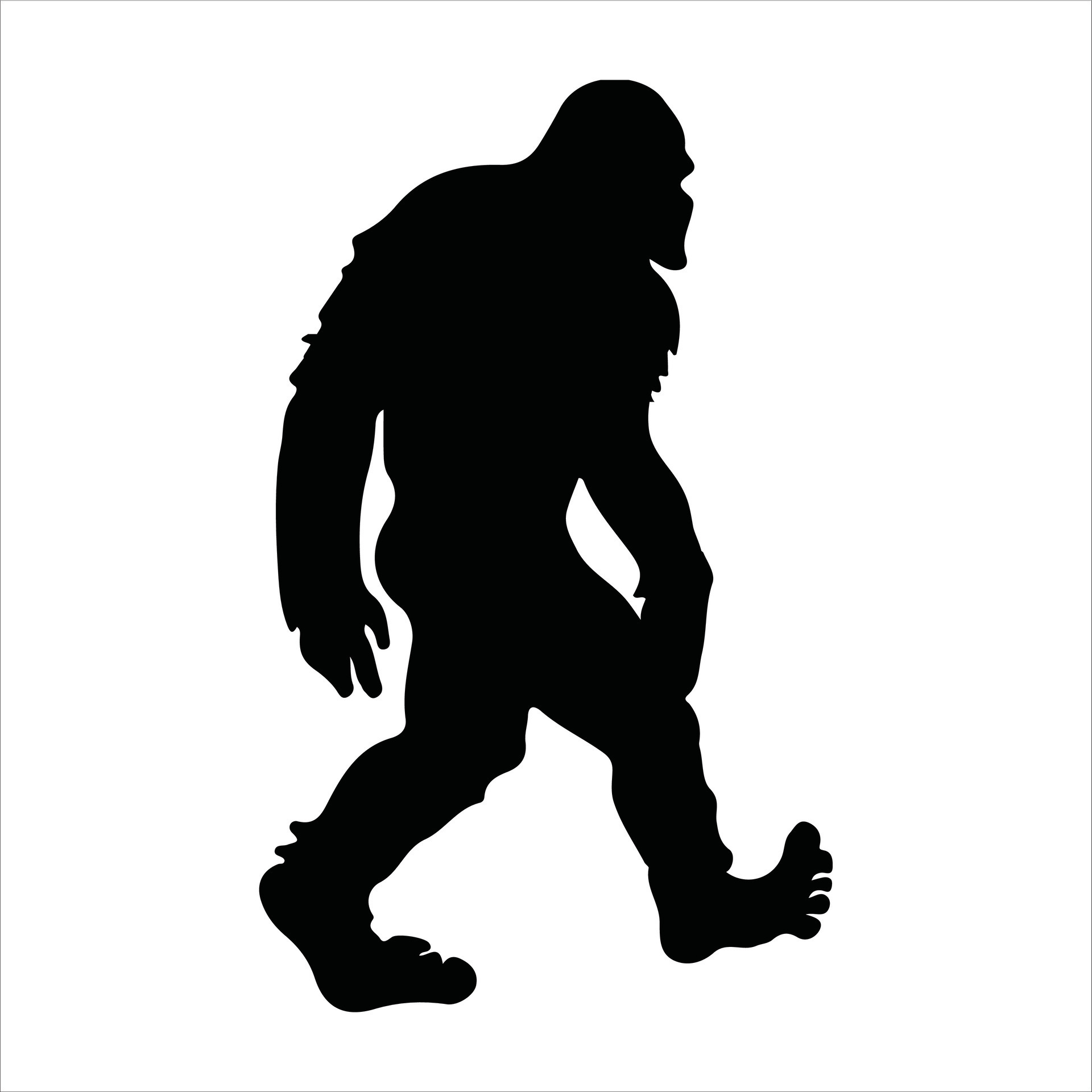 Bigfoot Images Bigfoot Bigfoot T shirt Design 45953460 Vector Art Bigfoot Images Bigfoot Bigfoot T shirt Design 45953460 Vector Art