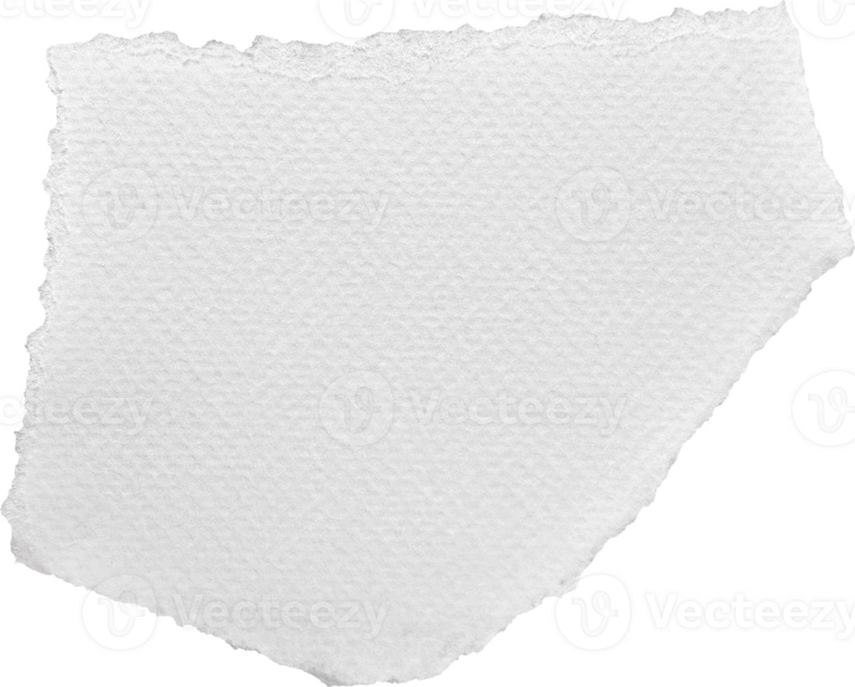 White Torn Paper Textured Piece png