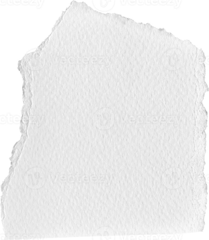 Weiß zerrissen Papier texturiert Stück png