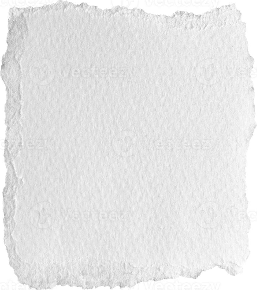 White Torn Paper Textured Piece png