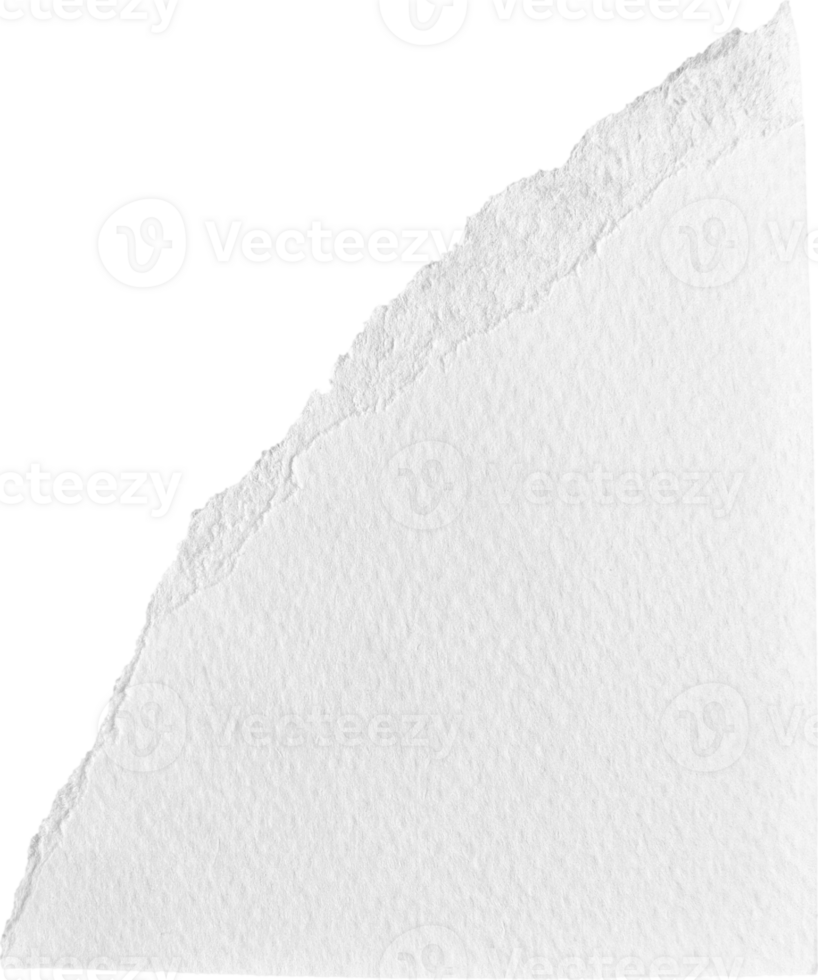 White Torn Paper Textured Piece png