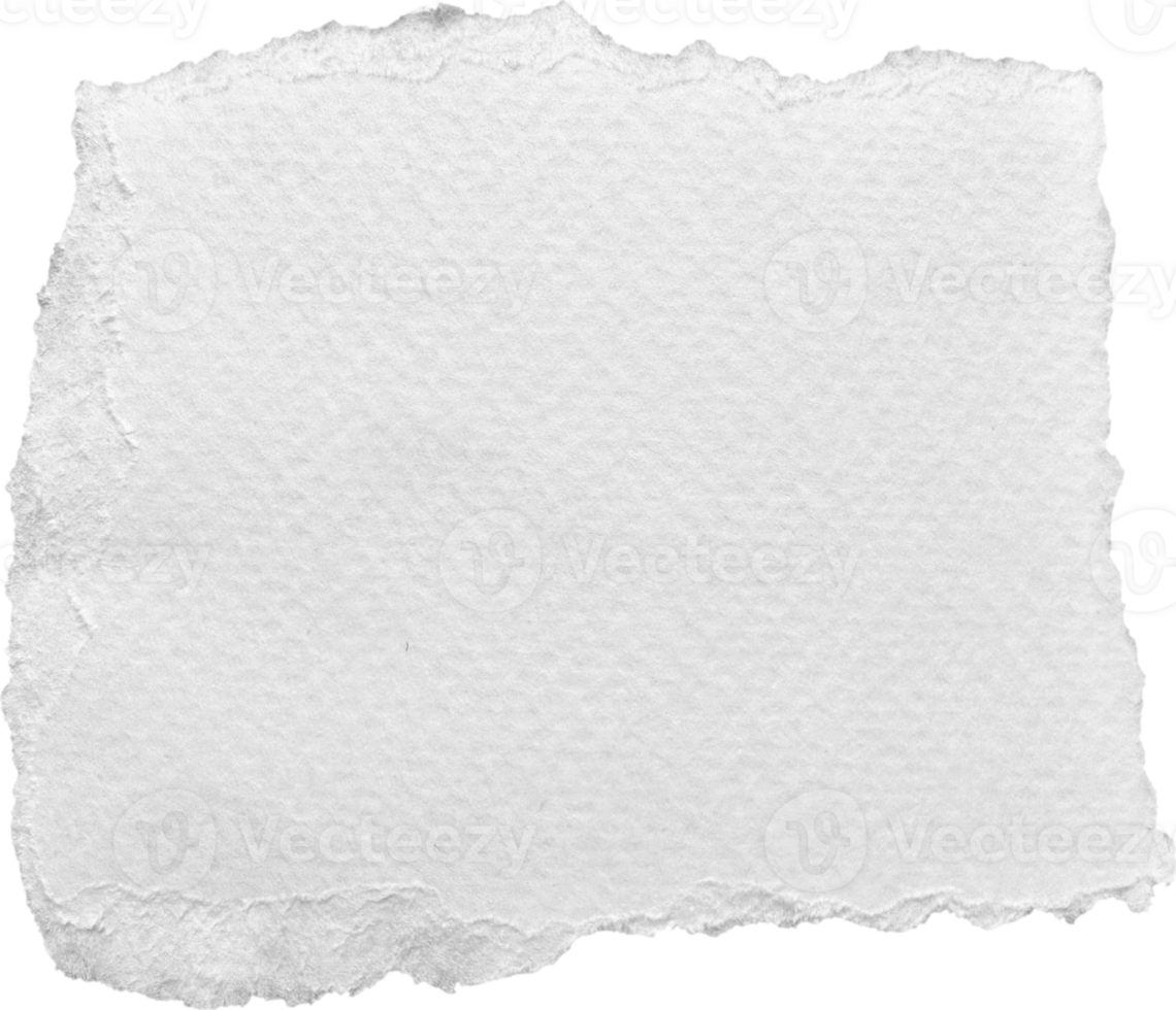 White Torn Paper Textured Piece png