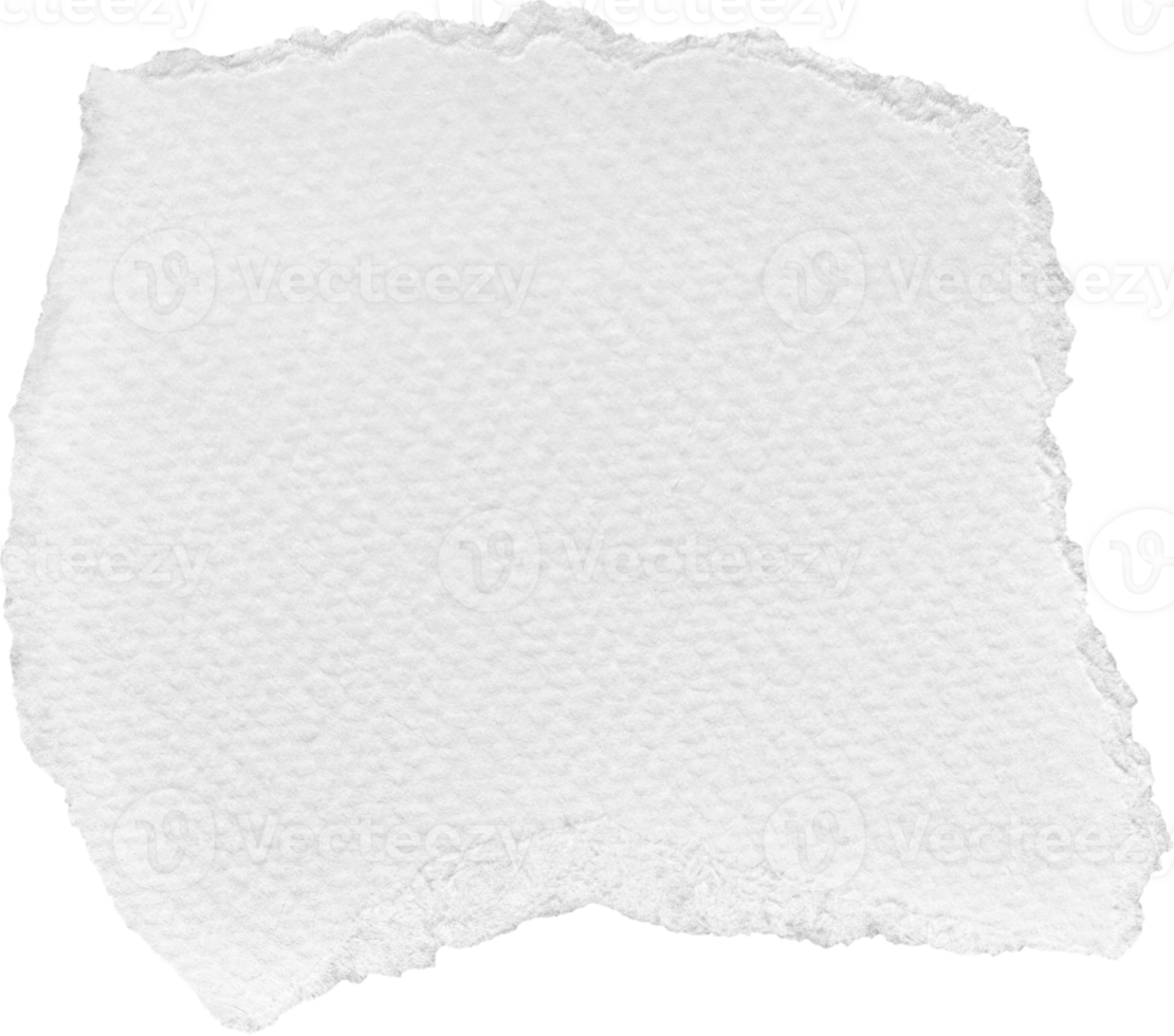 White Torn Paper Textured Piece png