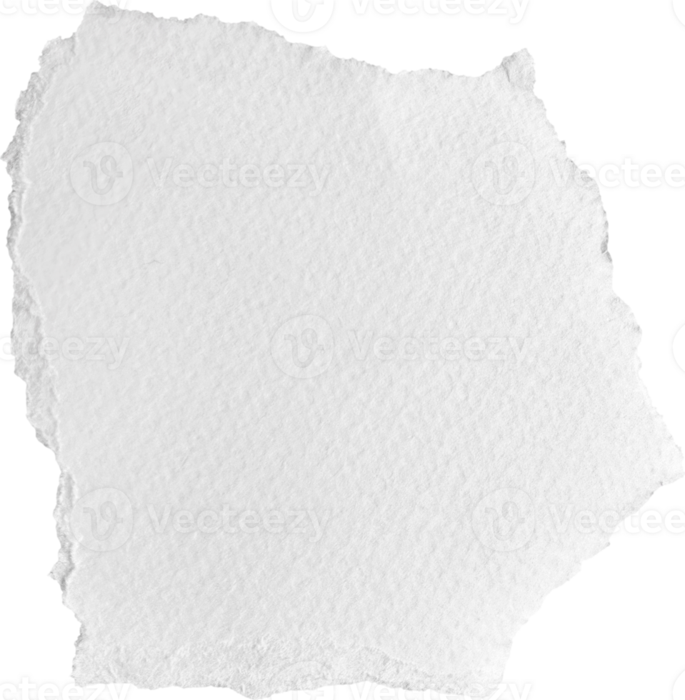 White Torn Paper Textured Piece png