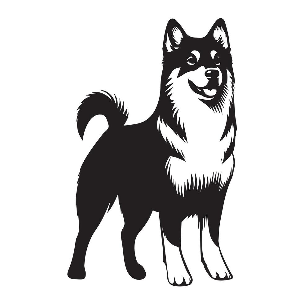 Confident Canaan Dog Standing illustration in black and white vector