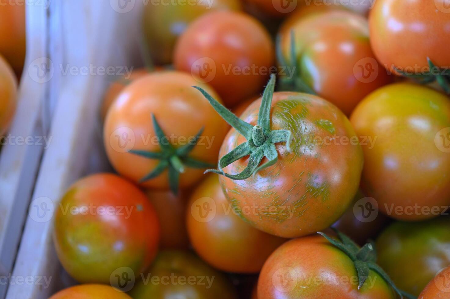 tomatoes in a box in a store in Cyprus 1 photo