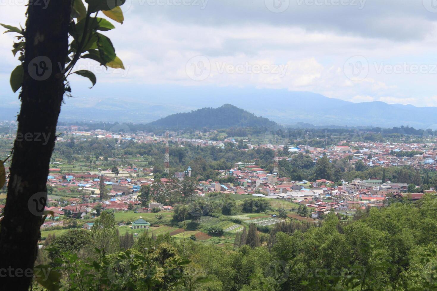 beautiful view with mountains and trees photo