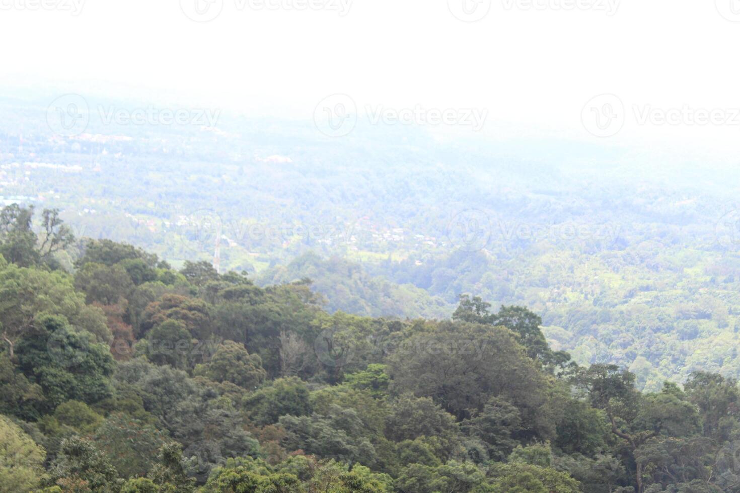 beautiful view with mountains and trees photo