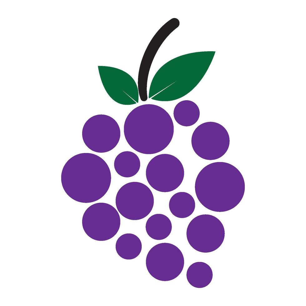 grape fruit icon vector