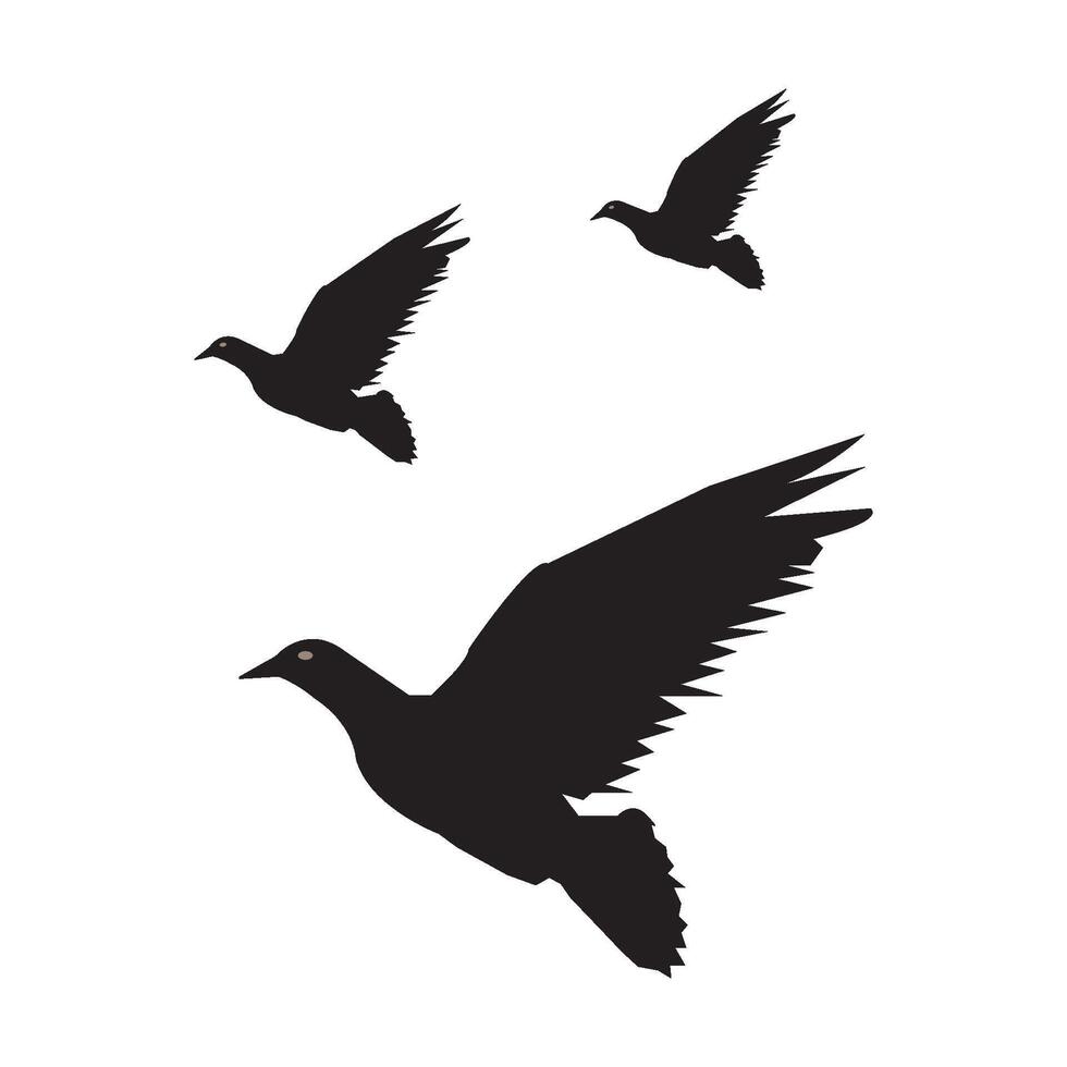 dove icon design vector