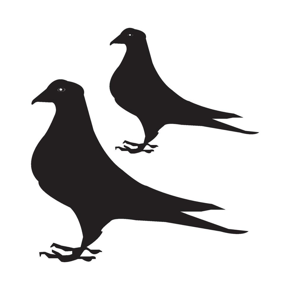 dove icon design vector