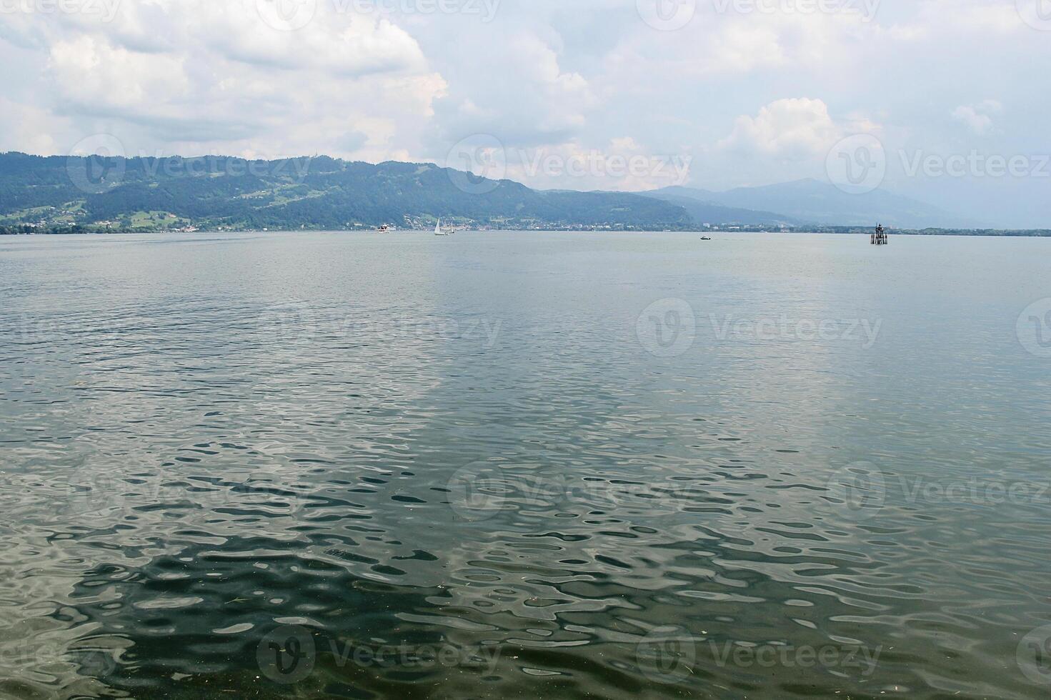 Nature at Lake Constance photo