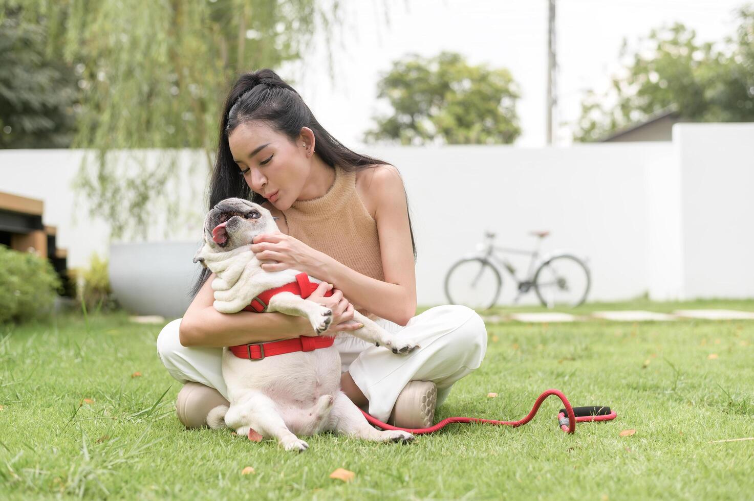 Happy asian woman playing with Cute Smart pug Puppy Dog In the Backyard photo