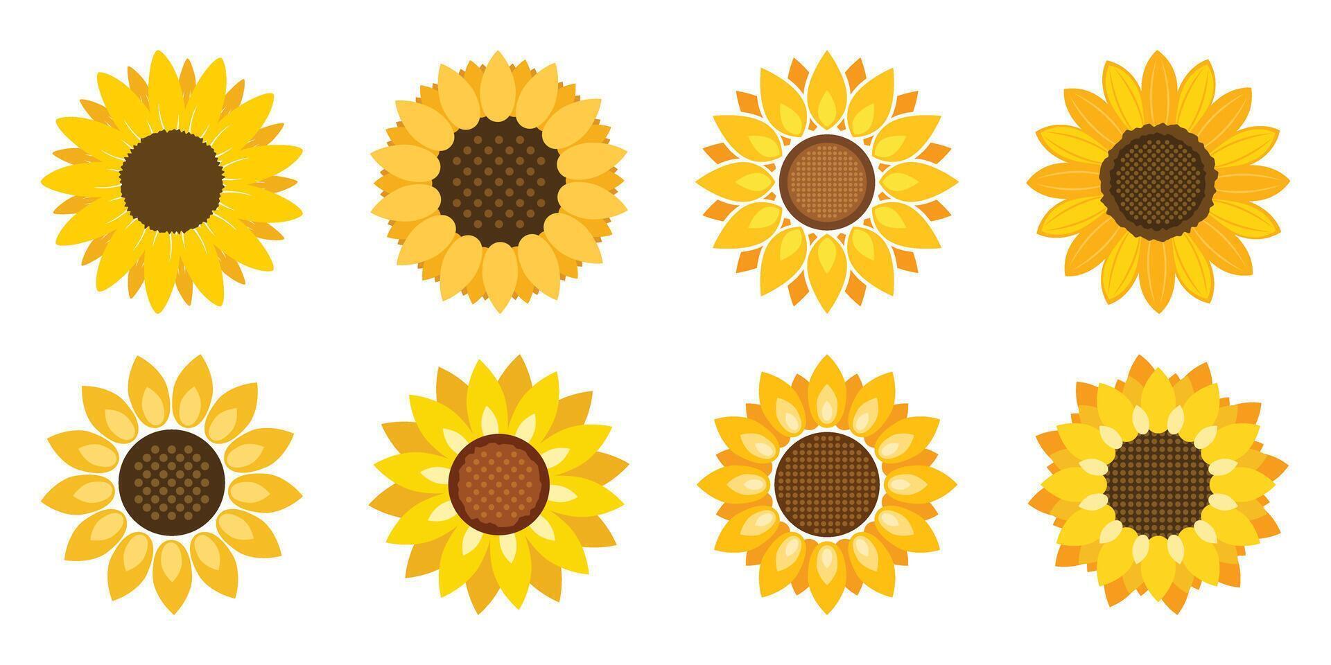 Sunflower icon in flat style. Flora illustration on isolated background. Sunflower sign business concept. vector