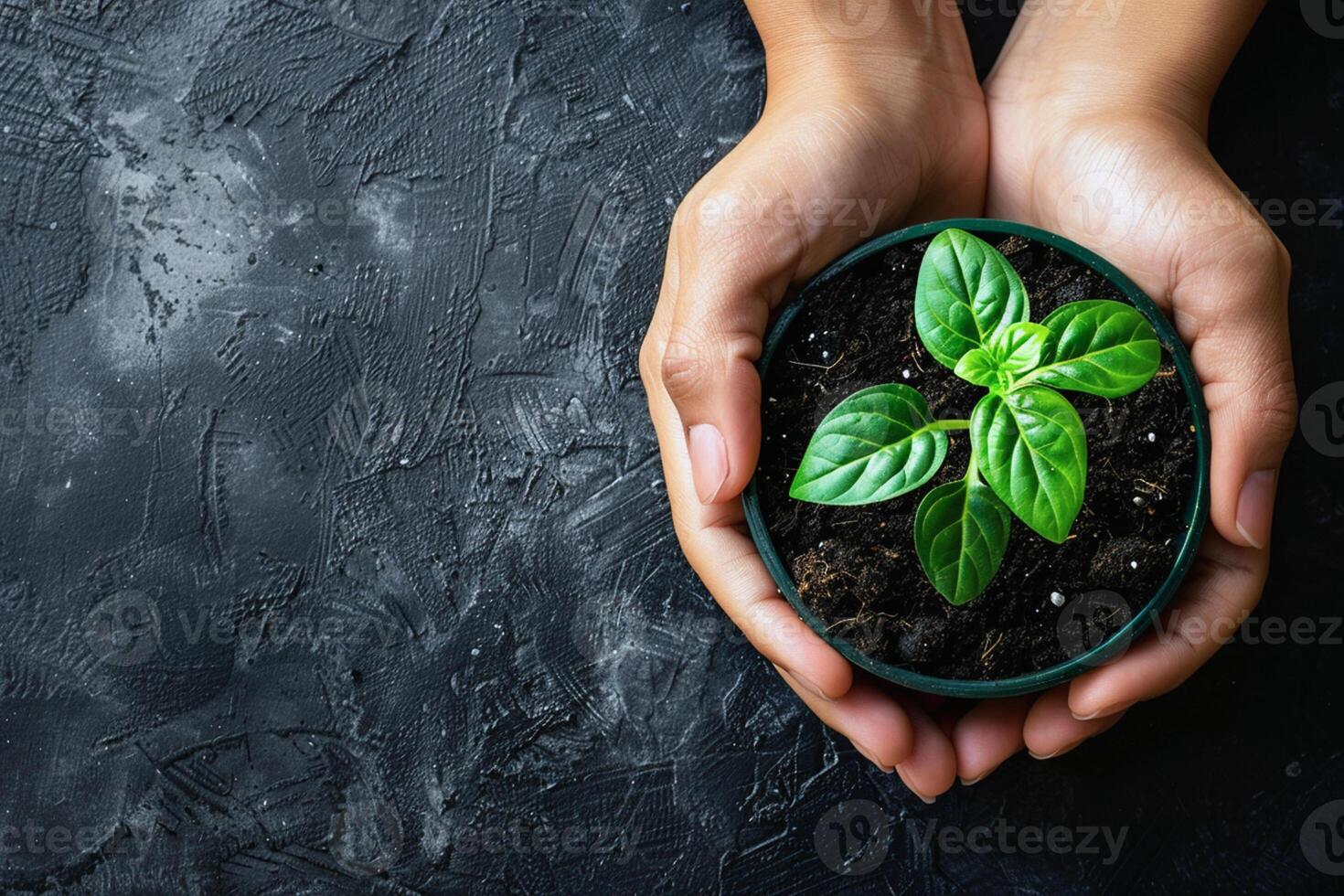 In this close-up scene, hands tenderly plant a young green plant into the fertile brown earth, serving as a poignant symbol of growth and ecological harmony, Generated AI photo