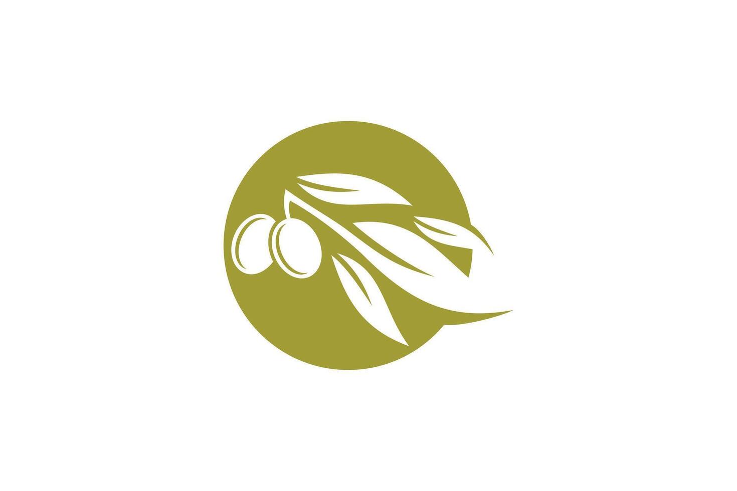 olive oil design simple concept vector