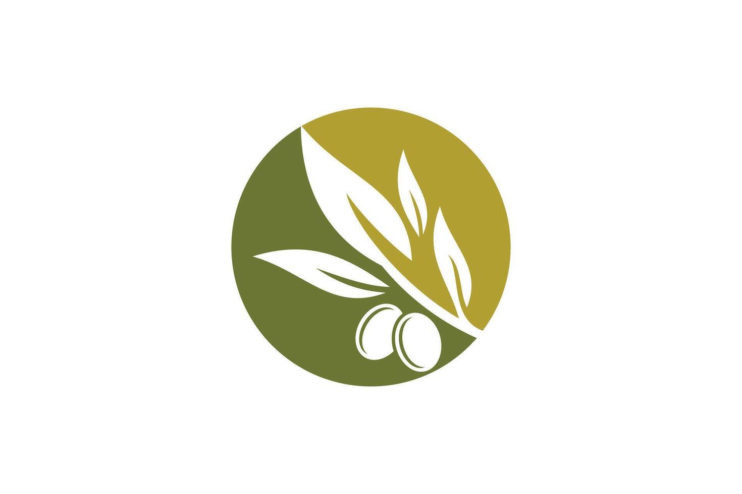 olive oil design simple concept vector