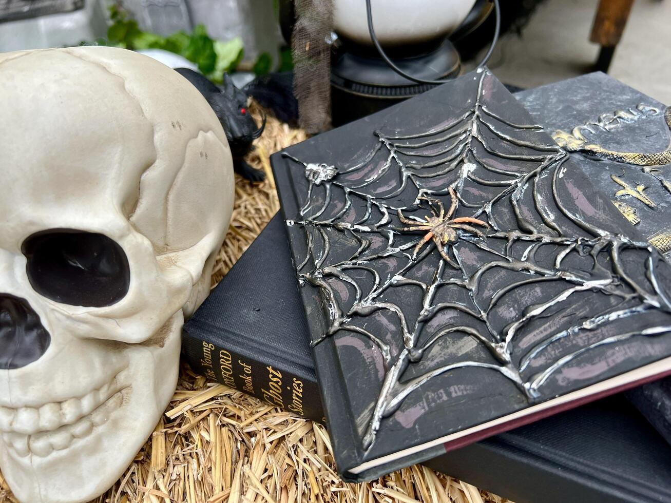 Black books on which the web is drawn and also snakes lie near human skull On Halloween they lie on the straw near them a lantern The spider is embossed in the center of the book photo