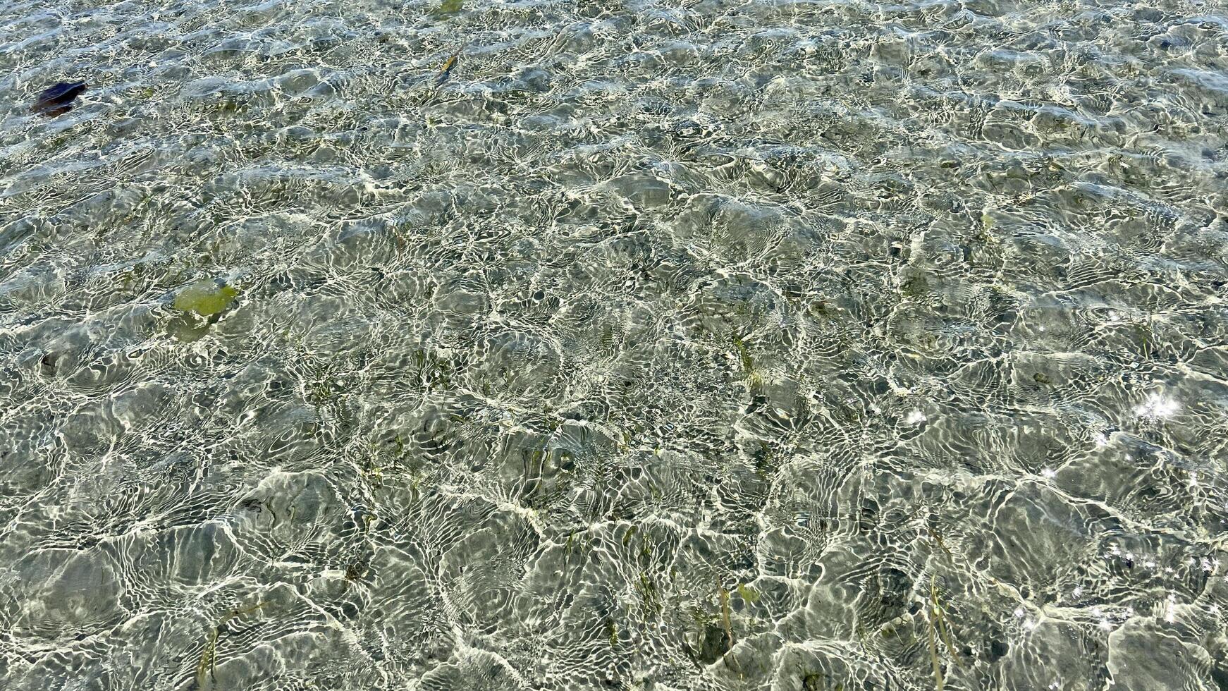 Sunbeams create ripples on the water this is the low tide in the Pacific Ocean But there are places where the fast current is a beautiful background for any text test relax beauty tranquility nature photo