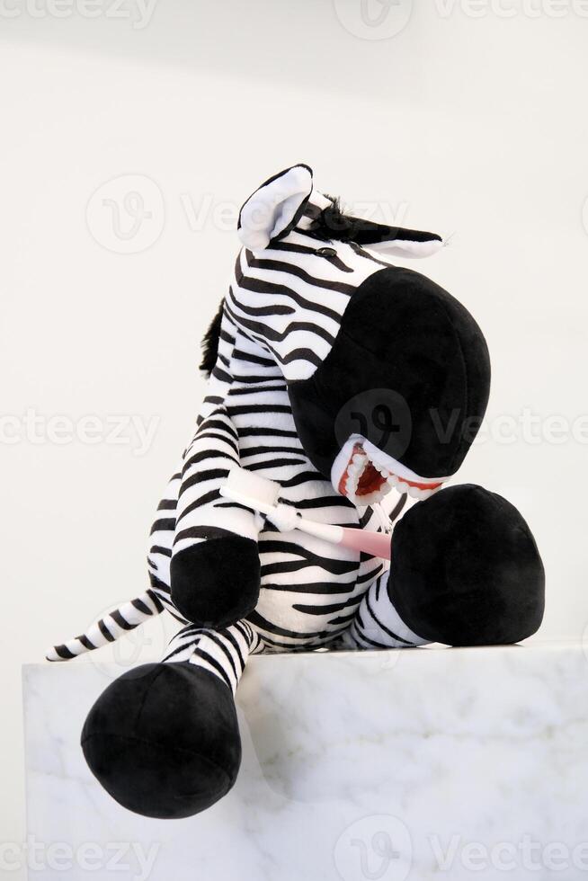 zebra soft toy for showing demonstration of proper brushing of teeth hands of toy toothbrush in mouth false teeth on white background dentistry at home entertainment for children children's dentistry photo