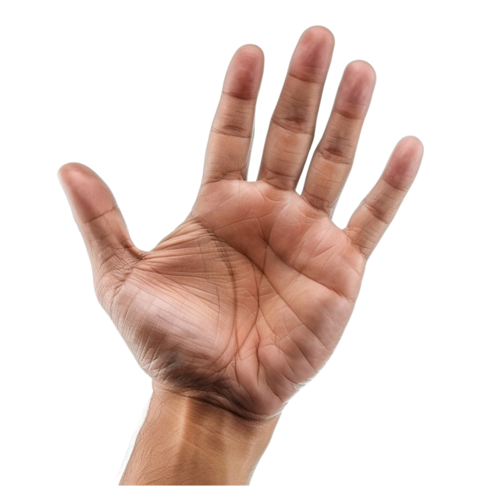 a hand with a palm up png