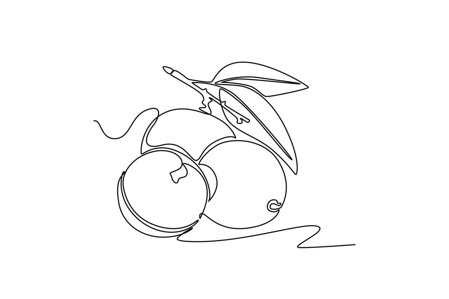 Continuous one line drawing of whole healthy organic longan on tree stalk for orchard logo identity. Fresh fruitage concept for fruit garden icon. Single line draw design graphic illustration vector