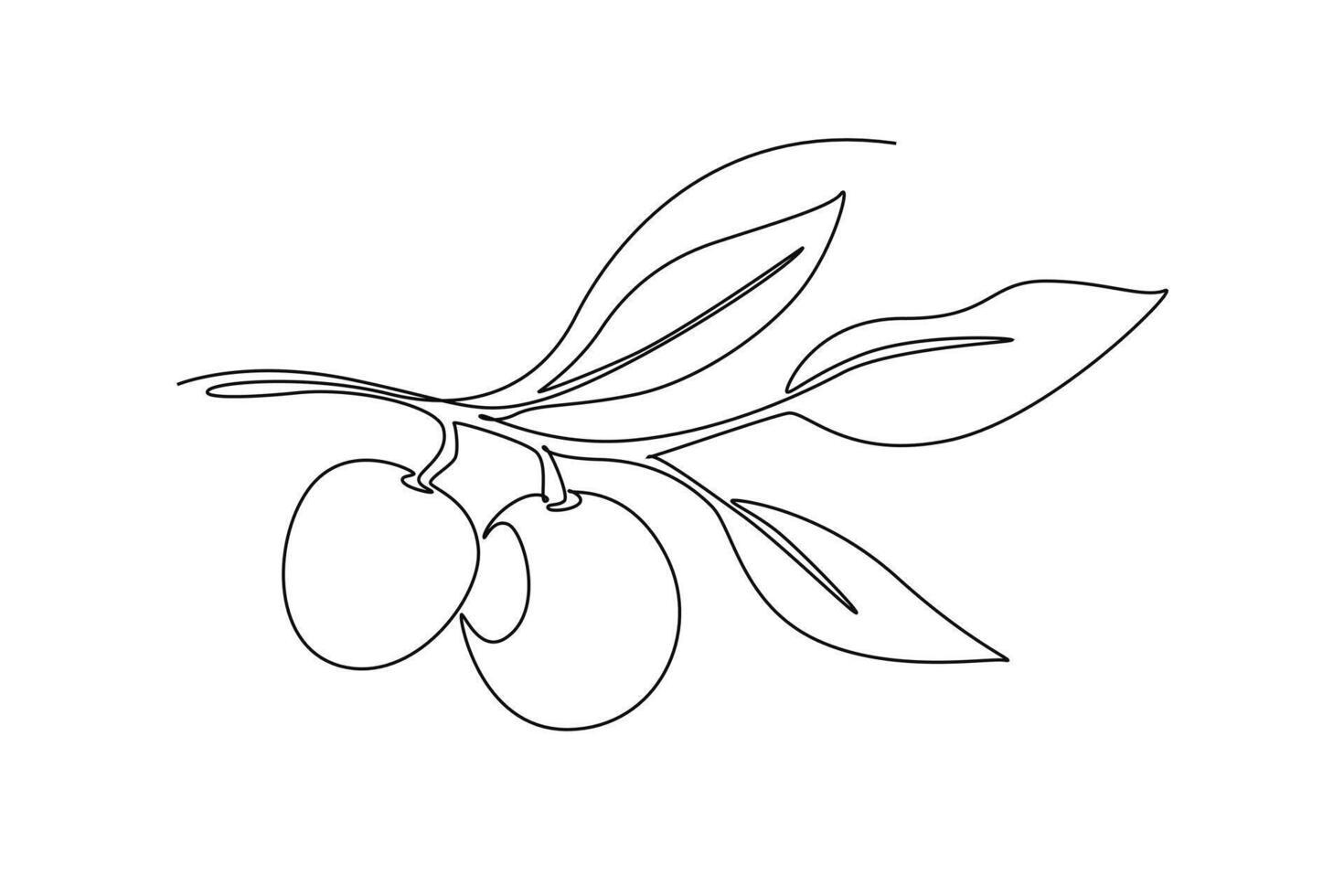 Single continuous line drawing whole healthy organic longan on tree stalk for garden logo identity. Fresh fruit concept for fruit garden icon. Dynamic one line draw graphic design illustration vector
