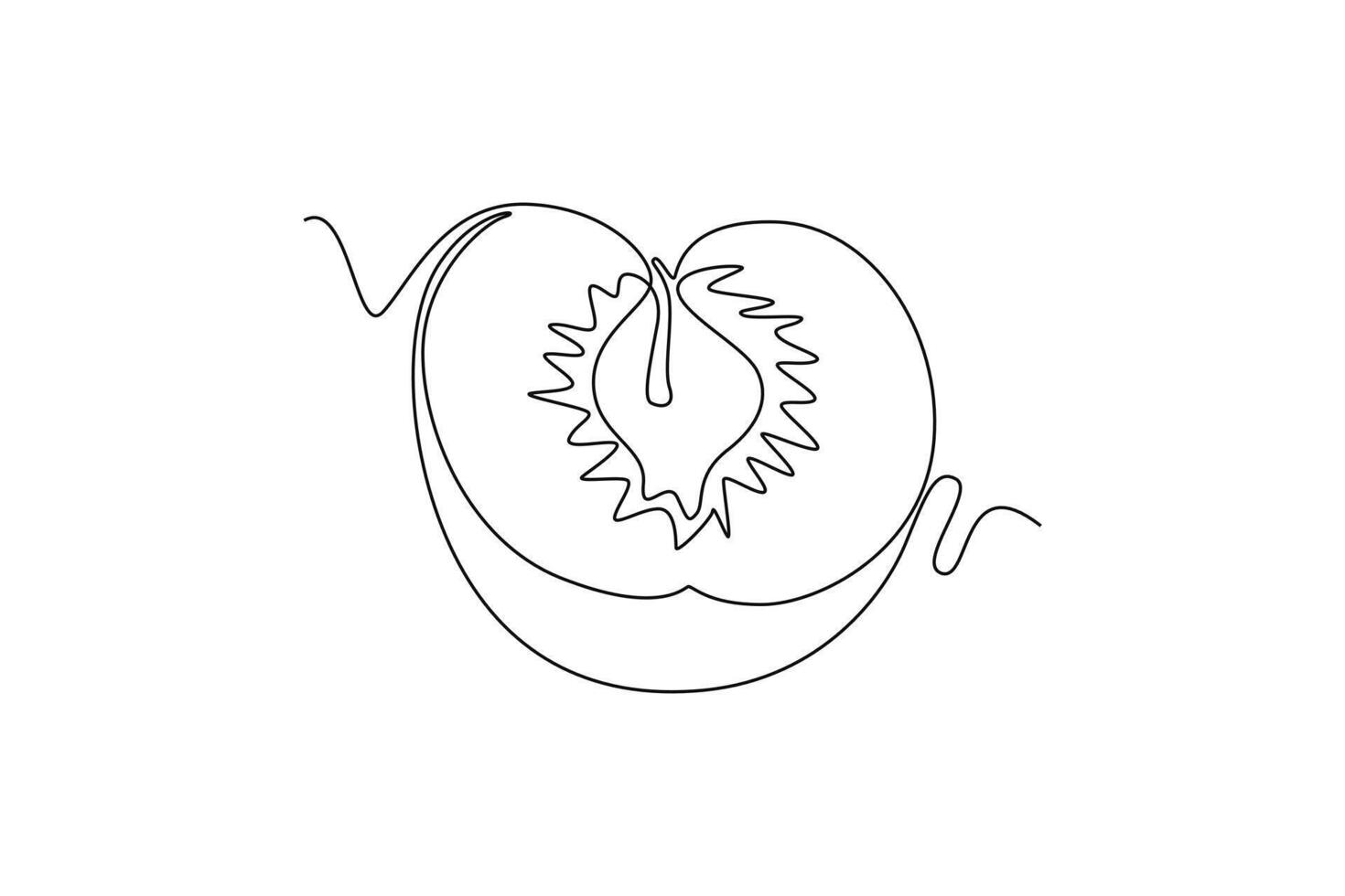 Single continuous line drawing half sliced of healthy organic apricot for orchard logo identity. Fresh fruitage concept for fruit garden icon. Dynamic one line draw graphic design illustration vector